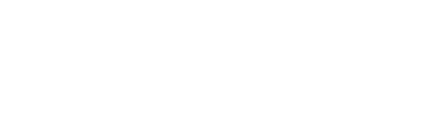 FOCUS ON FRANCHISE